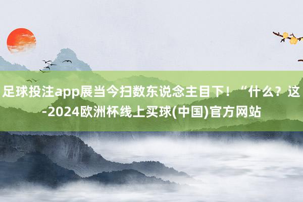 足球投注app展当今扫数东说念主目下！“什么？这-2024欧洲杯线上买球(中国)官方网站