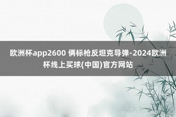 欧洲杯app2600 俩标枪反坦克导弹-2024欧洲杯线上买球(中国)官方网站