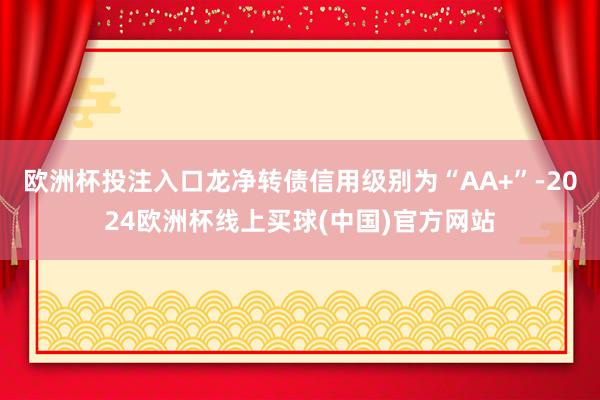 欧洲杯投注入口龙净转债信用级别为“AA+”-2024欧洲杯线上买球(中国)官方网站