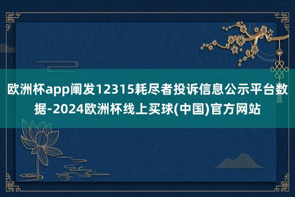 欧洲杯app阐发12315耗尽者投诉信息公示平台数据-2024欧洲杯线上买球(中国)官方网站