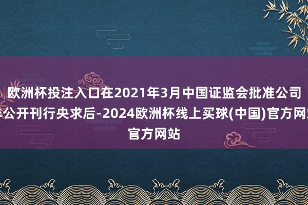 欧洲杯投注入口在2021年3月中国证监会批准公司非公开刊行央求后-2024欧洲杯线上买球(中国)官方网站