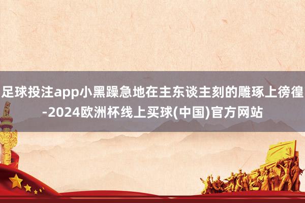 足球投注app小黑躁急地在主东谈主刻的雕琢上徬徨-2024欧洲杯线上买球(中国)官方网站