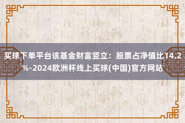 买球下单平台该基金财富竖立：股票占净值比14.2%-2024欧洲杯线上买球(中国)官方网站