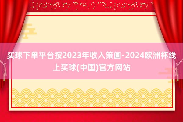 买球下单平台按2023年收入策画-2024欧洲杯线上买球(中国)官方网站