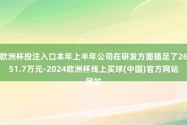 欧洲杯投注入口本年上半年公司在研发方面插足了2651.7万元-2024欧洲杯线上买球(中国)官方网站