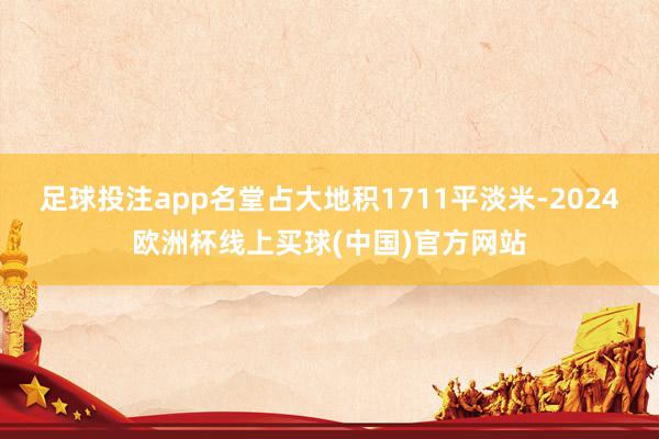 足球投注app名堂占大地积1711平淡米-2024欧洲杯线上买球(中国)官方网站