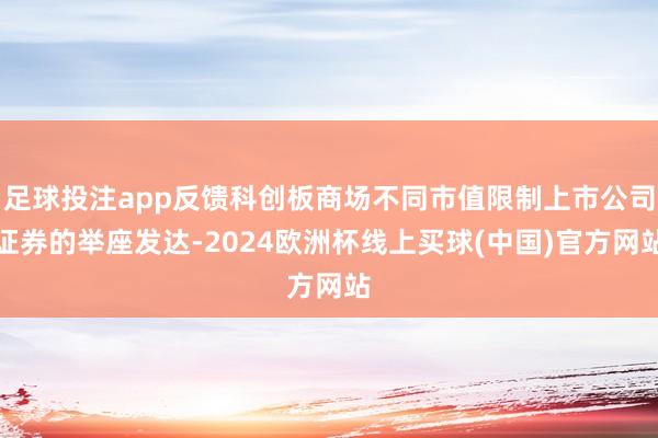 足球投注app反馈科创板商场不同市值限制上市公司证券的举座发达-2024欧洲杯线上买球(中国)官方网站