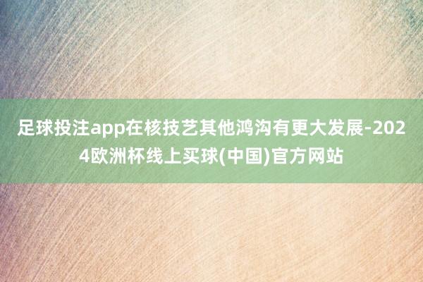 足球投注app在核技艺其他鸿沟有更大发展-2024欧洲杯线上买球(中国)官方网站