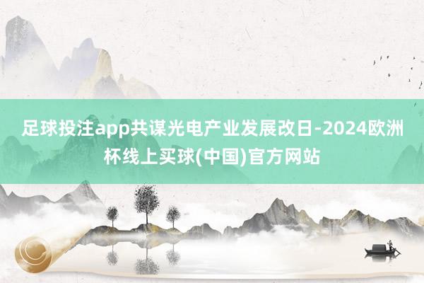 足球投注app共谋光电产业发展改日-2024欧洲杯线上买球(中国)官方网站