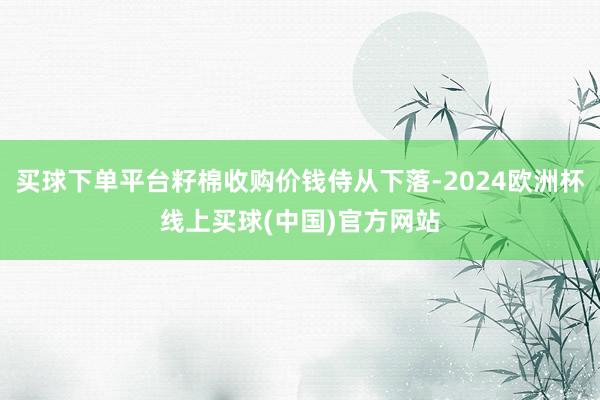 买球下单平台籽棉收购价钱侍从下落-2024欧洲杯线上买球(中国)官方网站