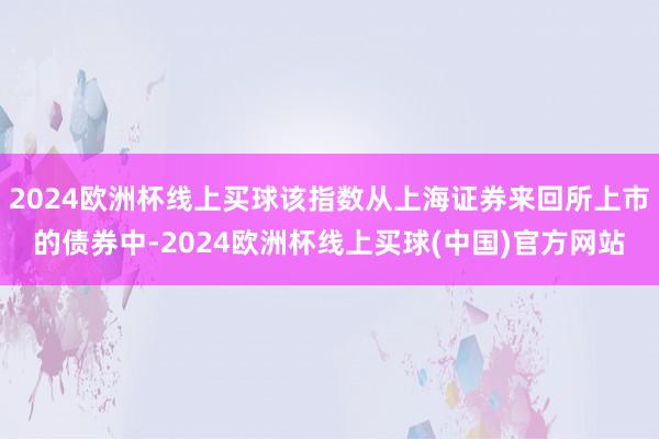 2024欧洲杯线上买球该指数从上海证券来回所上市的债券中-2024欧洲杯线上买球(中国)官方网站