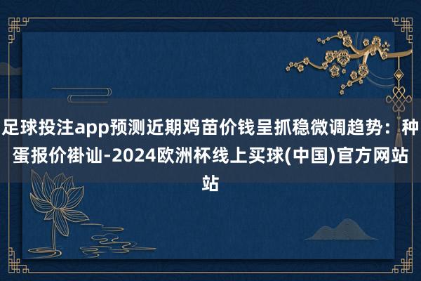 足球投注app预测近期鸡苗价钱呈抓稳微调趋势：种蛋报价褂讪-2024欧洲杯线上买球(中国)官方网站